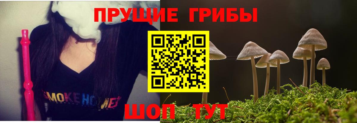 Псилоцибиновые грибы Psilocybe  Вход с VPN  Серпухов 